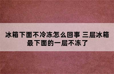 冰箱下面不冷冻怎么回事 三层冰箱最下面的一层不冻了